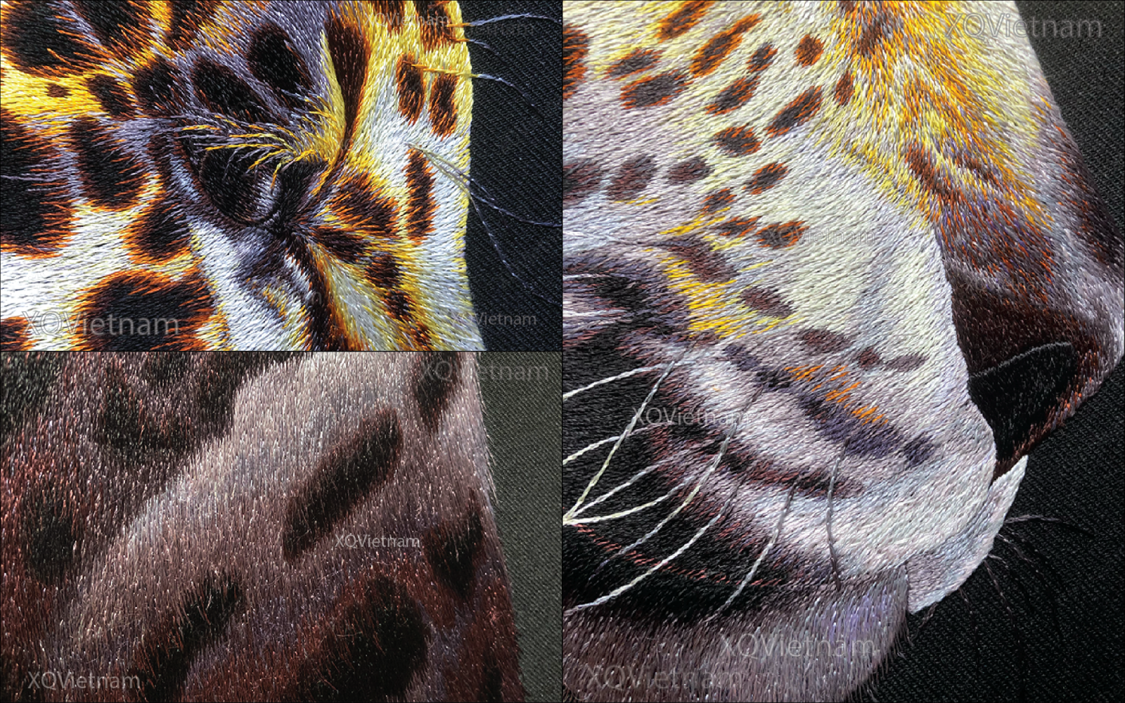 upload/images/5533 tinh anh rung hoang PD.png